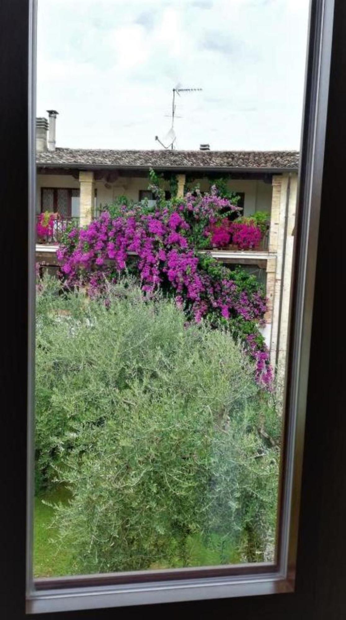 Dolce Lago B&B San Felice del Benaco Kültér fotó