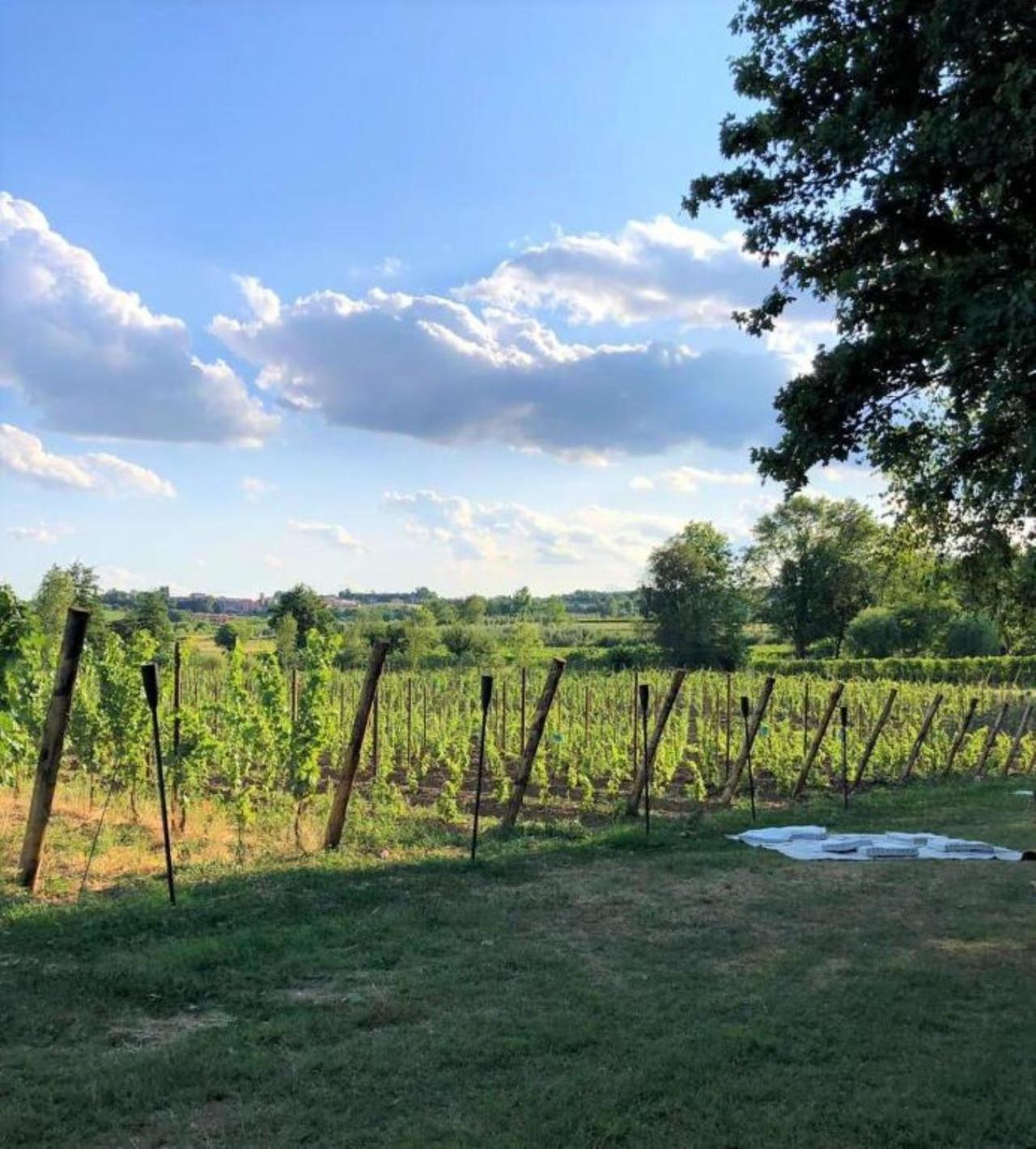 Dolce Lago B&B San Felice del Benaco Kültér fotó